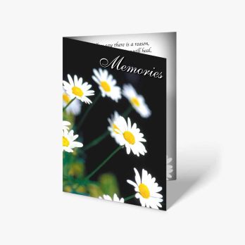 memories - daisies - black and white