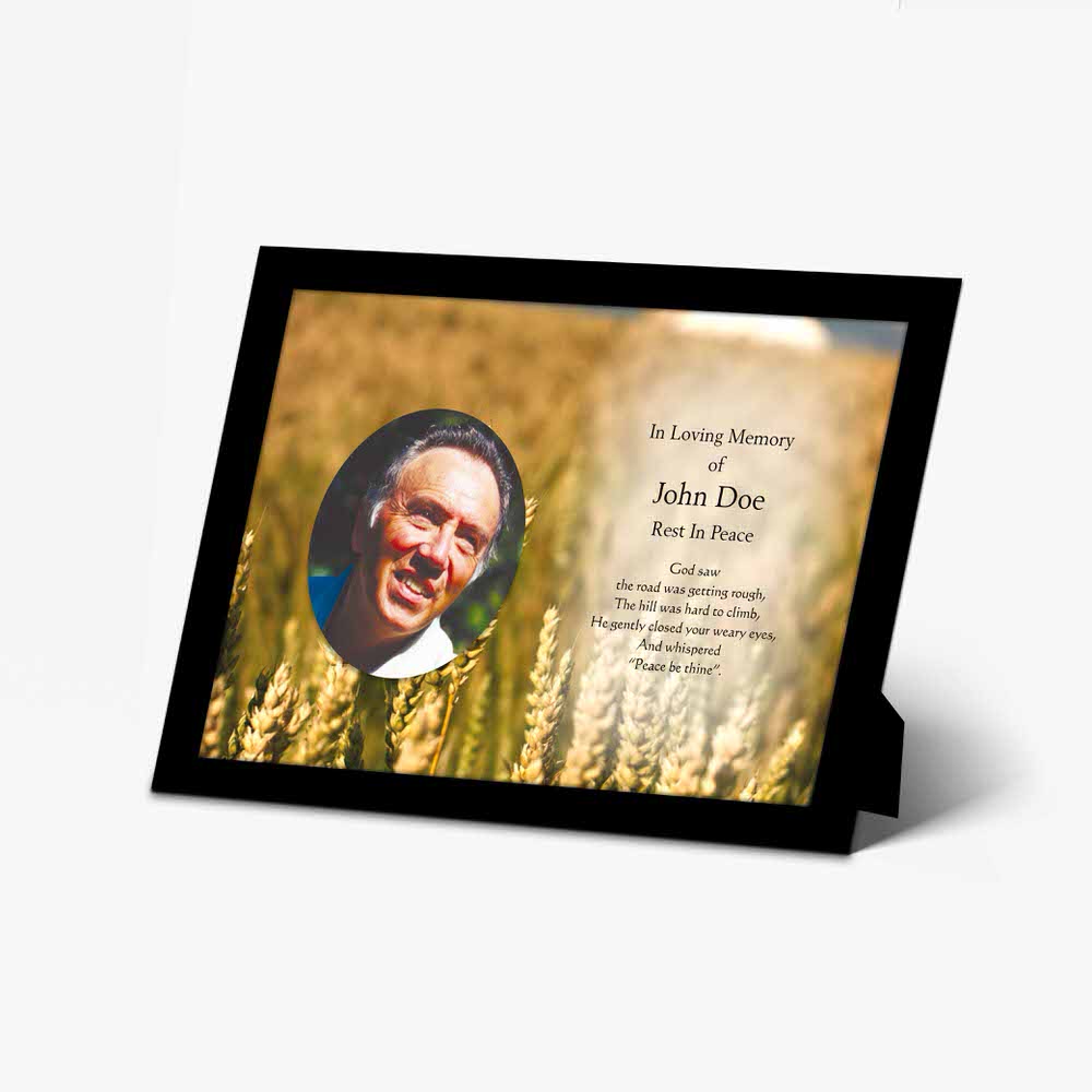 a photo of a man in a wheat field with a black frame