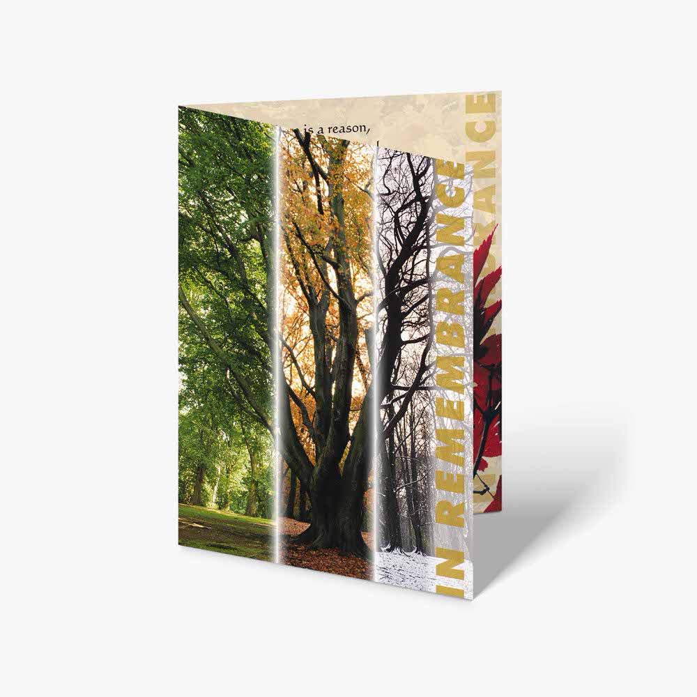 a card with a tree in the background and a picture of a tree