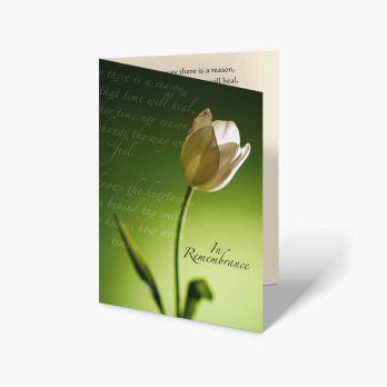 a card with a tulip on a green background