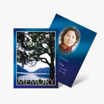 memory cards - blue