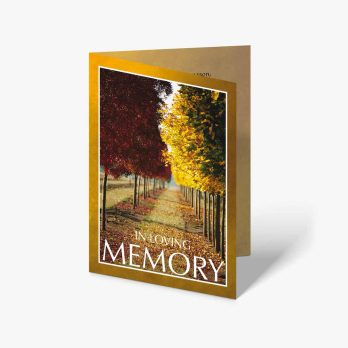 fall memory card