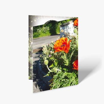 a greeting card with a picture of orange flowers
