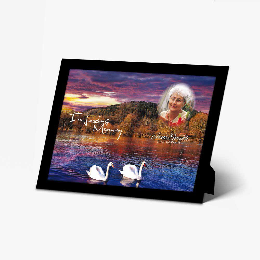 a photo frame with a woman and swans on it